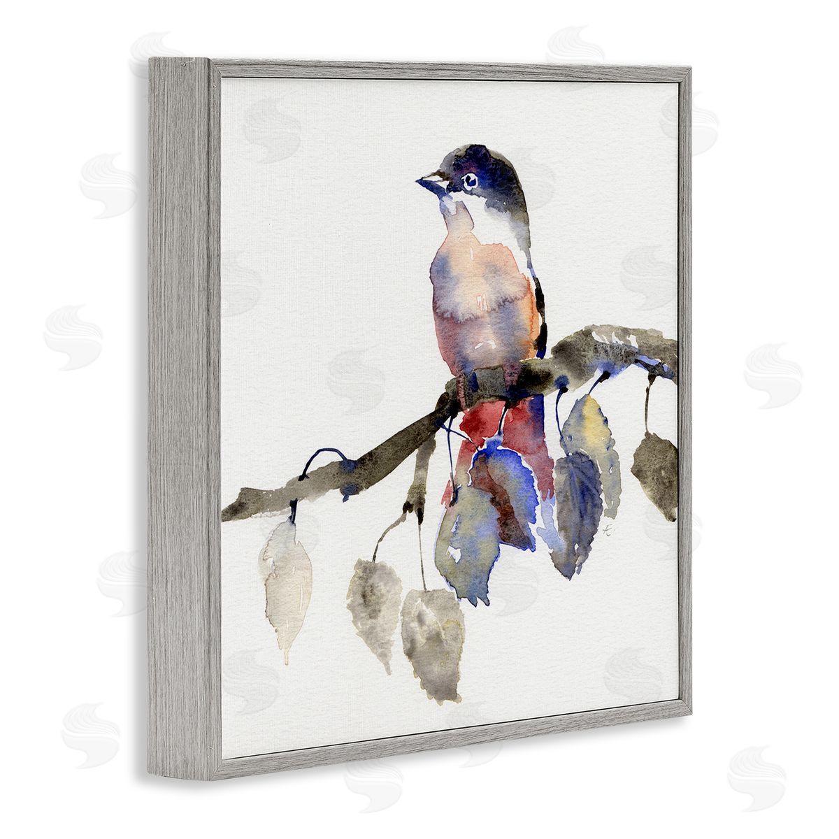 Verbrugge Watercolor Song Bird Perched on Blue Autumn Leaf Branch Gray Framed Glicee Wall Art Print