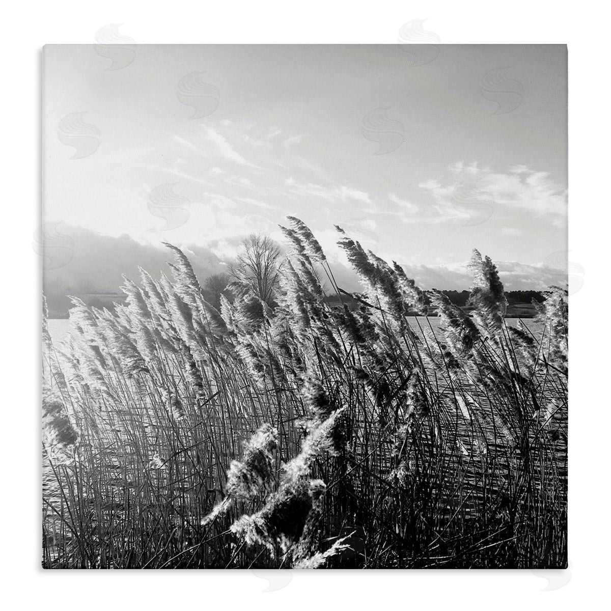 Tall Grass Lake Water Landscape Canvas Wall Art, Home Decor by Sarah Jane