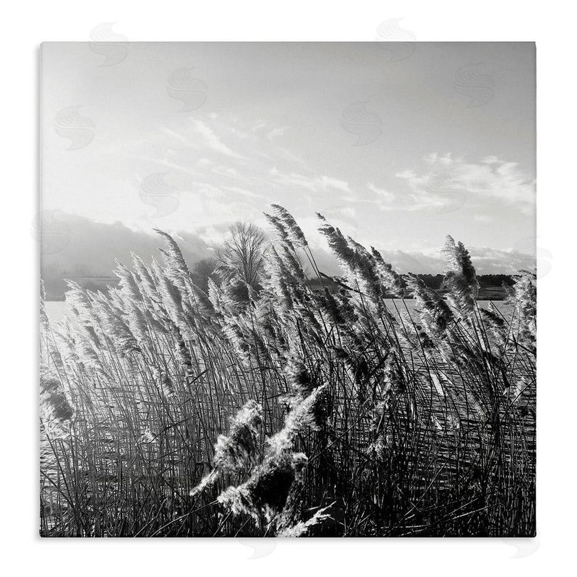 Sarah Jane | Tall Grass Lake Water Landscape