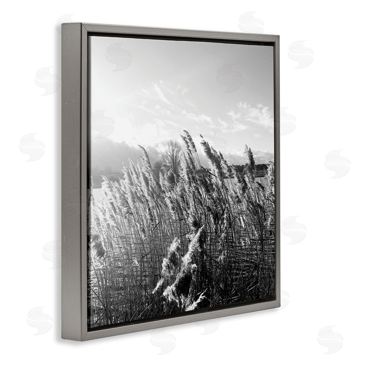 Tall Grass Lake Water Landscape Grey Floating Frame Canvas Wall Art, Home Decor by Sarah Jane