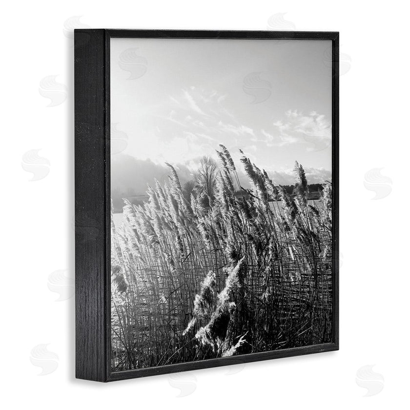 Sarah Jane | Tall Grass Lake Water Landscape