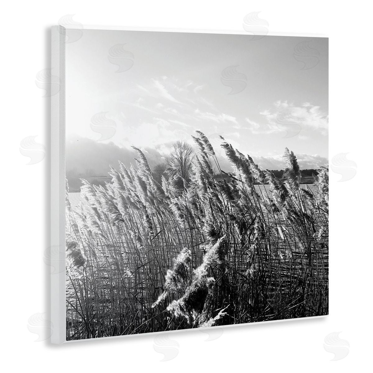 Tall Grass Lake Water Landscape Wood Plaque Wall Art, Home Decor by Sarah Jane