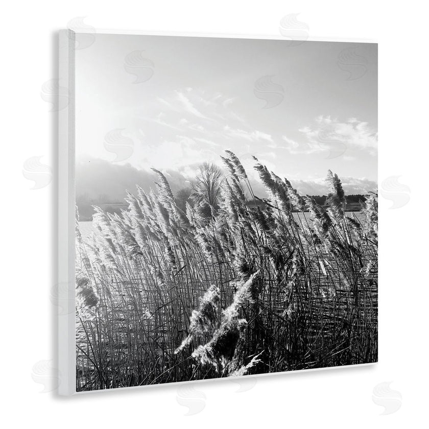 Sarah Jane | Tall Grass Lake Water Landscape