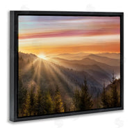 Danita Delimont | Sunrise Through Mountain Forest Skyline