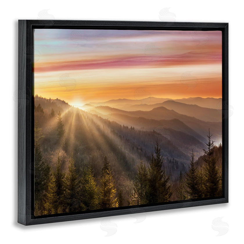 Danita Delimont | Sunrise Through Mountain Forest Skyline