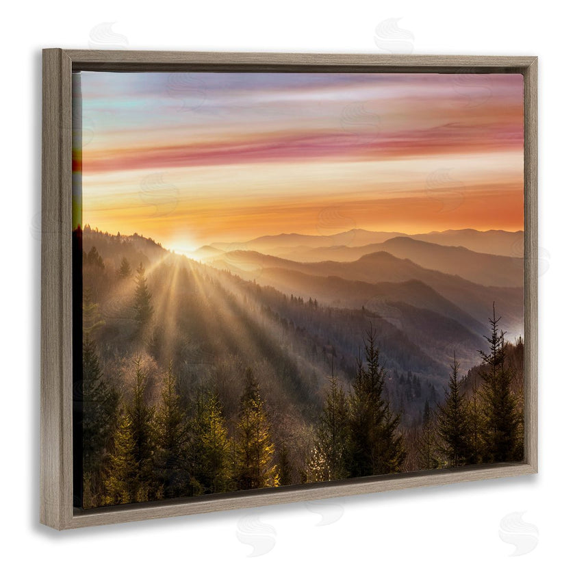 Danita Delimont | Sunrise Through Mountain Forest Skyline