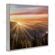 Danita Delimont | Sunrise Through Mountain Forest Skyline