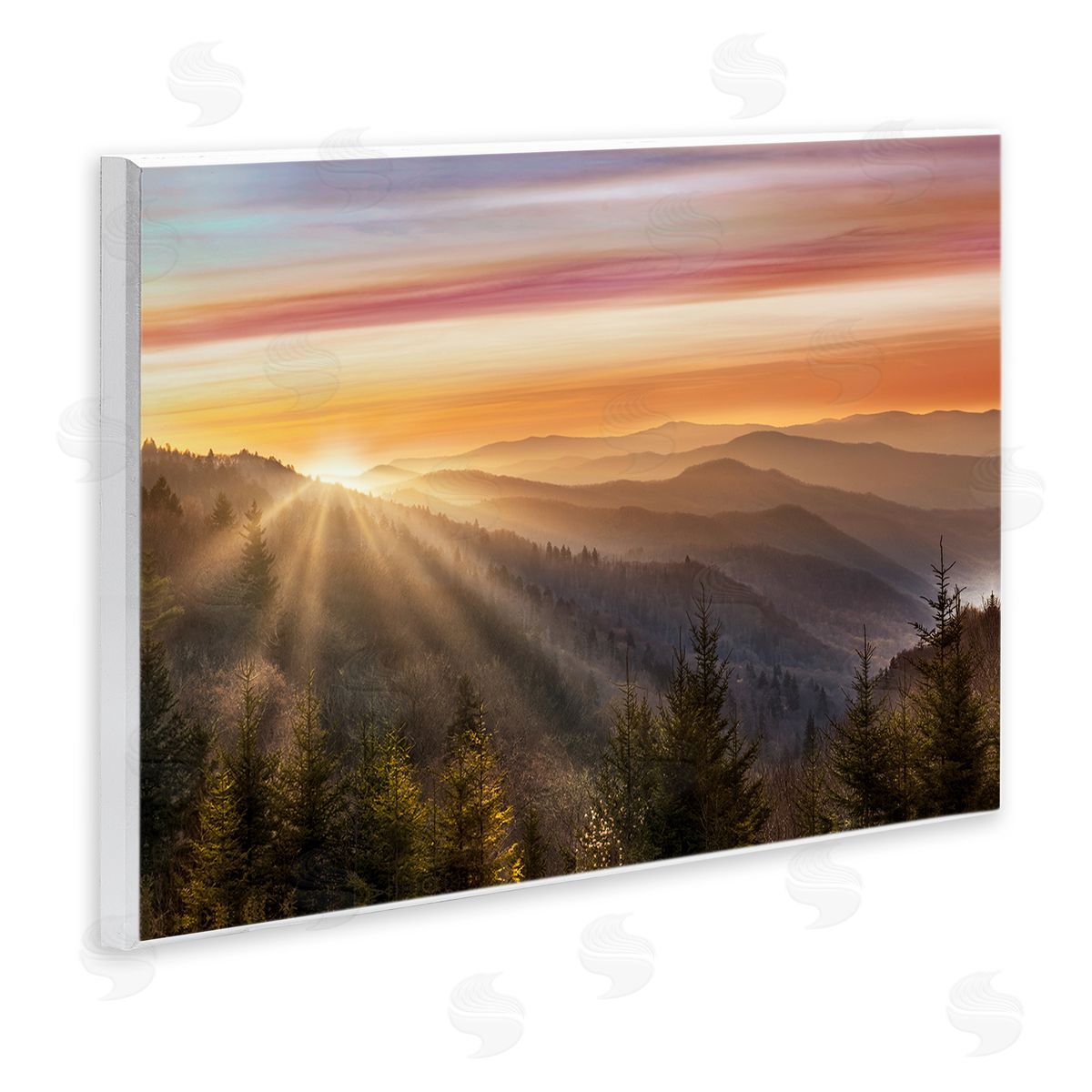 Sunrise Through Mountain Forest Skyline Wood Plaque Wall Art, Home Decor by Danita Delimont