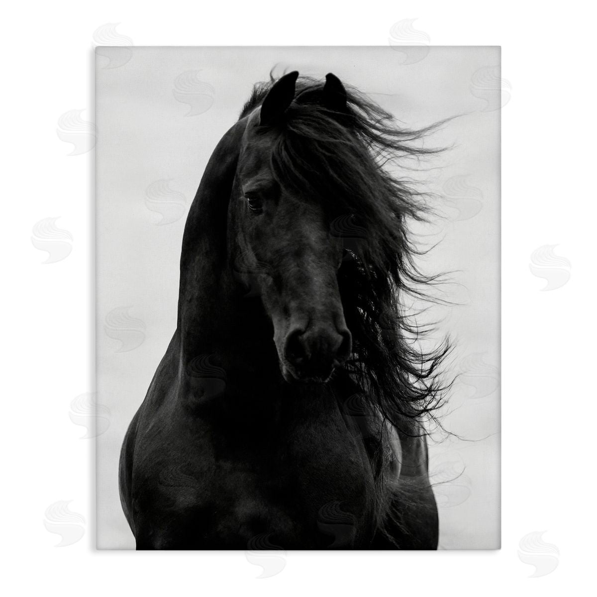 Black Stallion Horse Portrait Canvas Wall Art, Home Decor by Carol Walker
