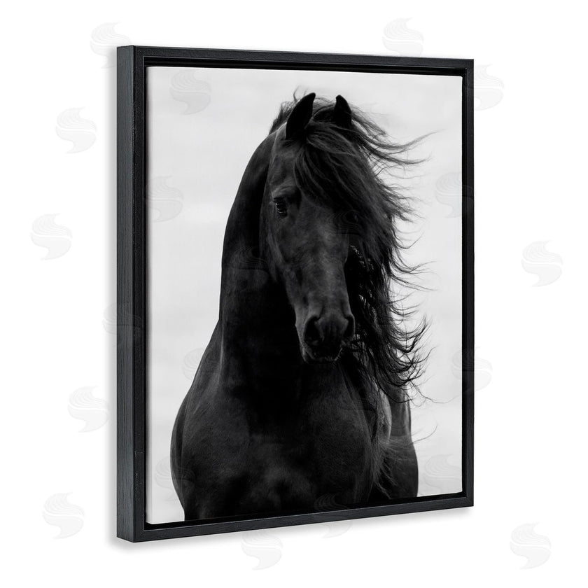 Carol Walker | Black Stallion Horse Portrait
