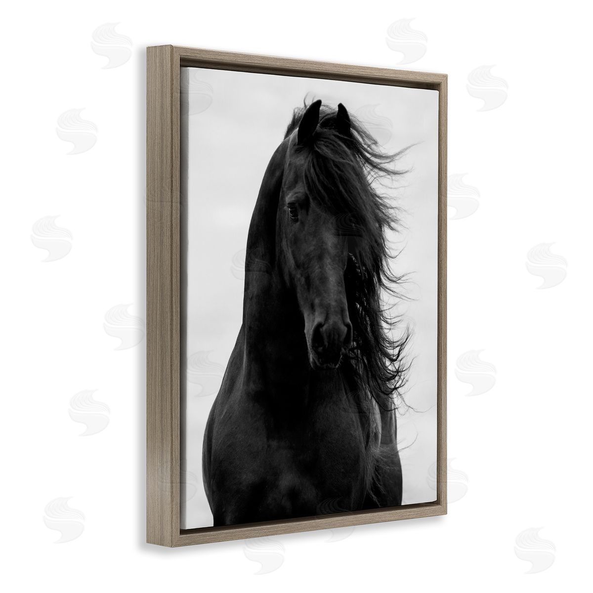 Black Stallion Horse Portrait Brown Floating Frame Canvas Wall Art, Home Decor by Carol Walker