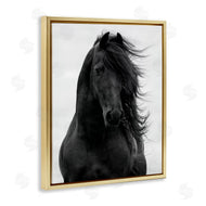 Carol Walker | Black Stallion Horse Portrait