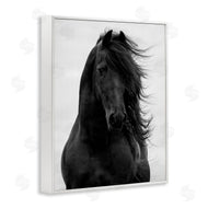 Carol Walker | Black Stallion Horse Portrait