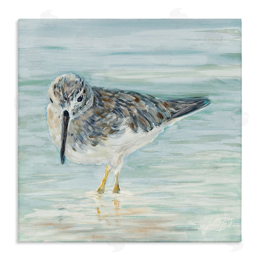 Julie DeRice | Sandpiper in Shallow Beach Waters