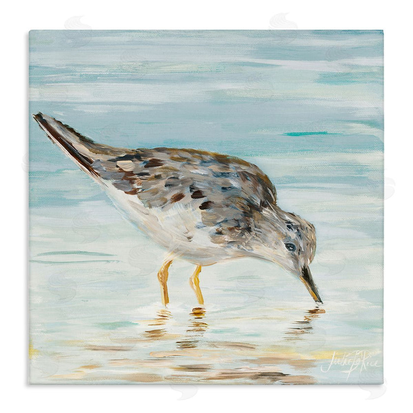 Julie DeRice | Sandpiper on Shallow Beach Coast