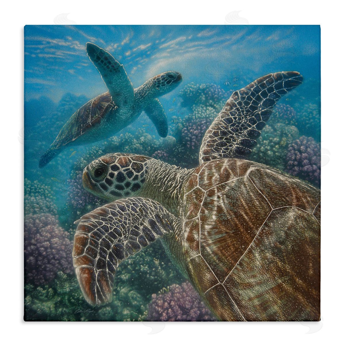 Collin Bogle Sea Turtle Pair Coral Reef Ocean Life Scene Stretched Canvas Wall Art Print
