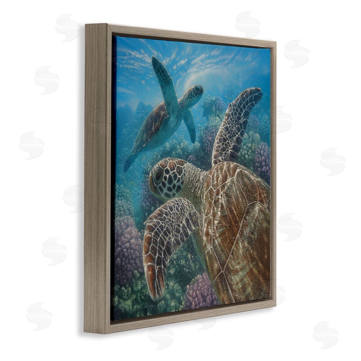 Collin Bogle Sea Turtle Pair Coral Reef Ocean Life Scene Brown Floating Frame Canvas Wall Art Print