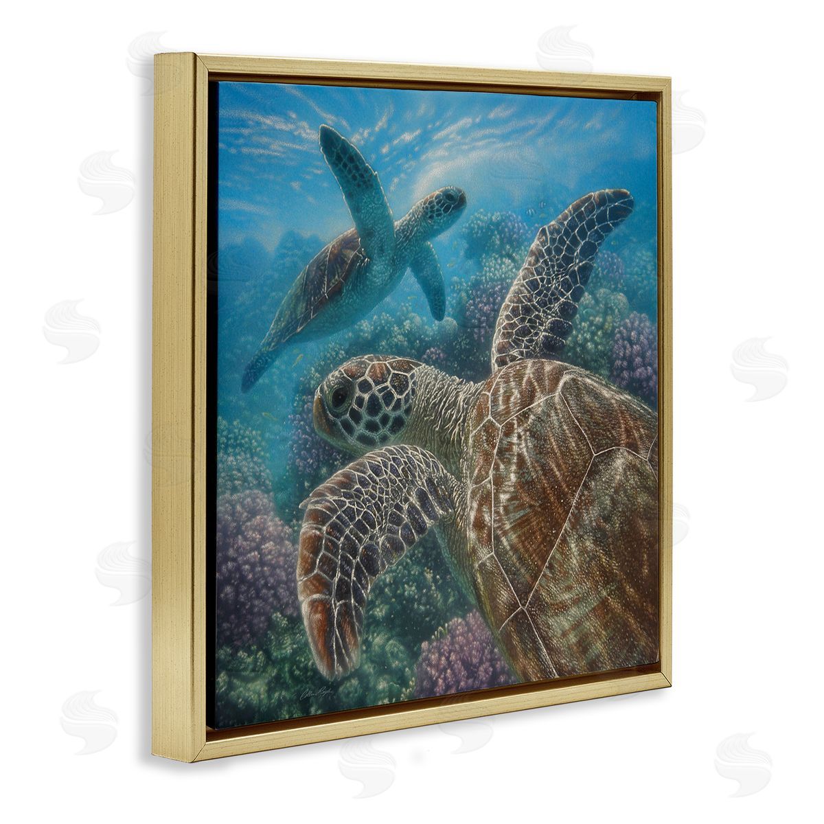 Collin Bogle Sea Turtle Pair Coral Reef Ocean Life Scene Gold Floating Frame Canvas Wall Art Print