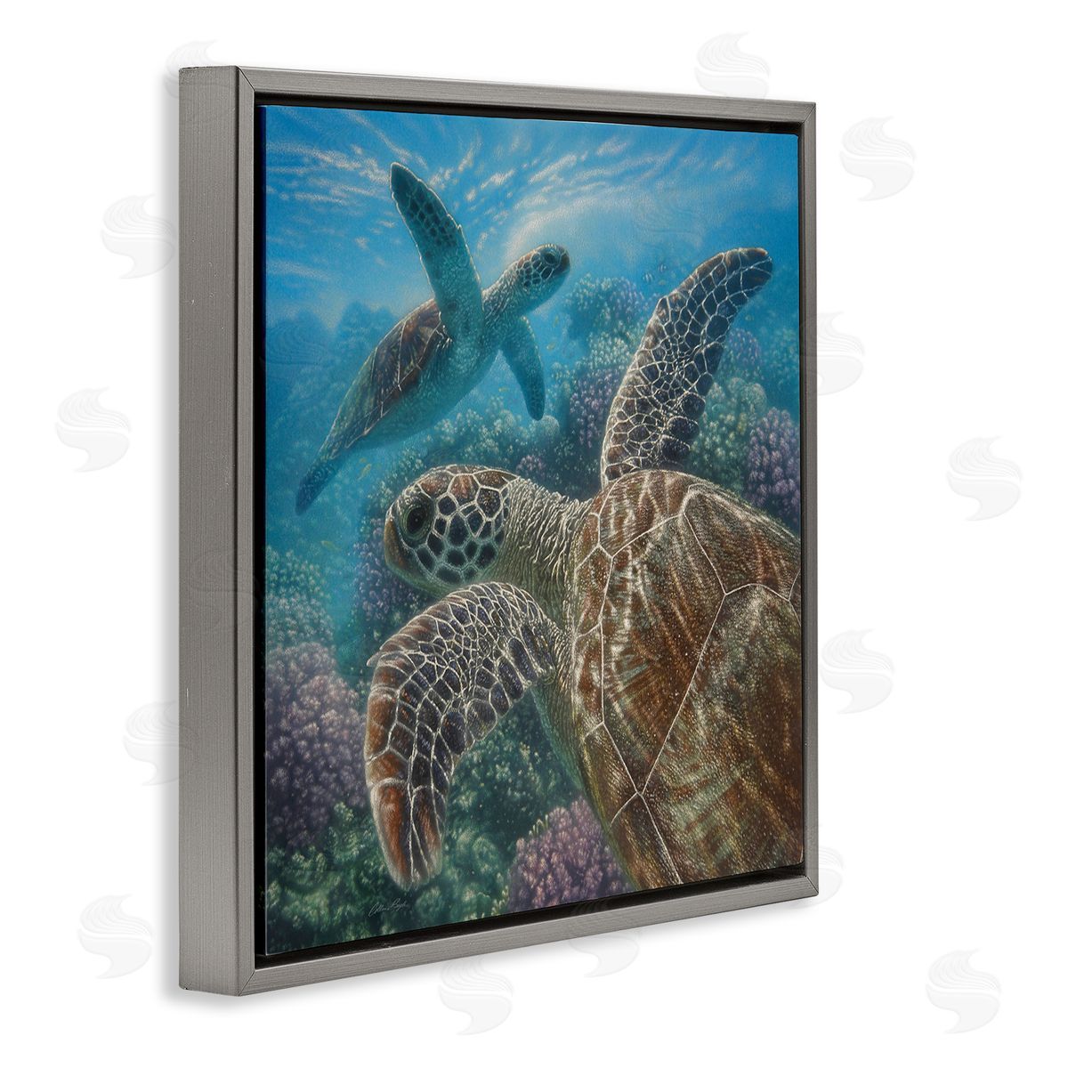 Collin Bogle Sea Turtle Pair Coral Reef Ocean Life Scene Gray Floating Frame Canvas Wall Art Print