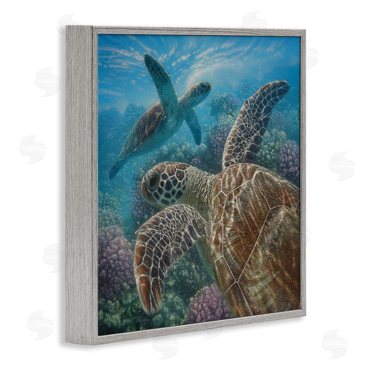 Collin Bogle Sea Turtle Pair Coral Reef Ocean Life Scene Gray Framed Glicee Wall Art Print