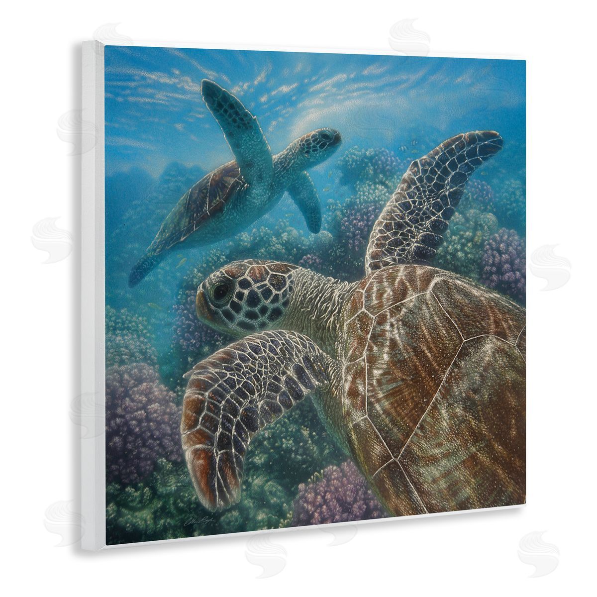 Collin Bogle Sea Turtle Pair Coral Reef Ocean Life Scene Wooden Wall Plaque Art Print