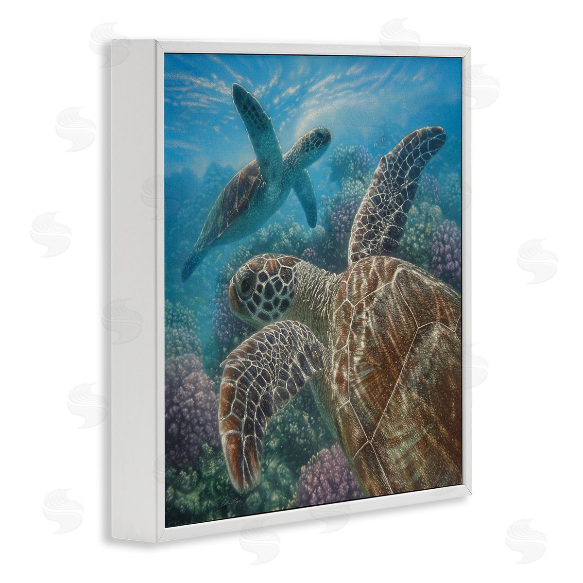 Collin Bogle Sea Turtle Pair Coral Reef Ocean Life Scene White Framed Glicee Wall Art Print