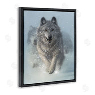 Collin Bogle | Wolves Running Through Snow