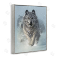 Collin Bogle | Wolves Running Through Snow