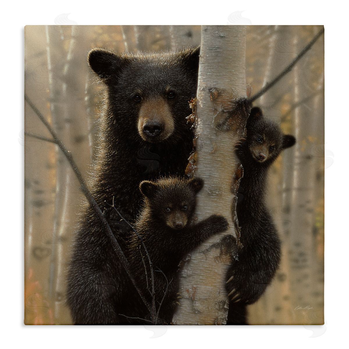 Forest Black Bear and Cubs Canvas Wall Art, Home Decor by Collin Bogle