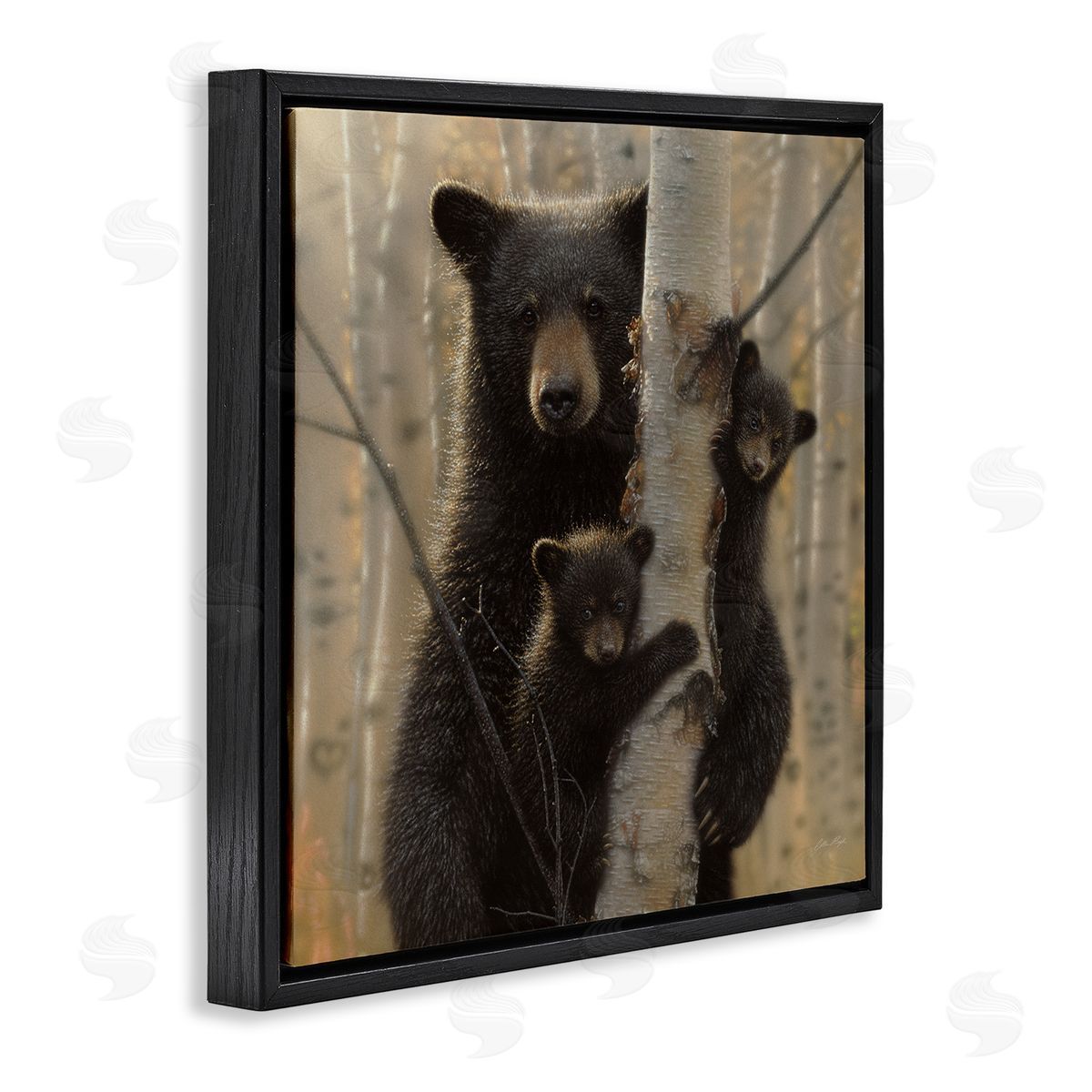 Forest Black Bear and Cubs Black Floating Frame Canvas Wall Art, Home Decor by Collin Bogle