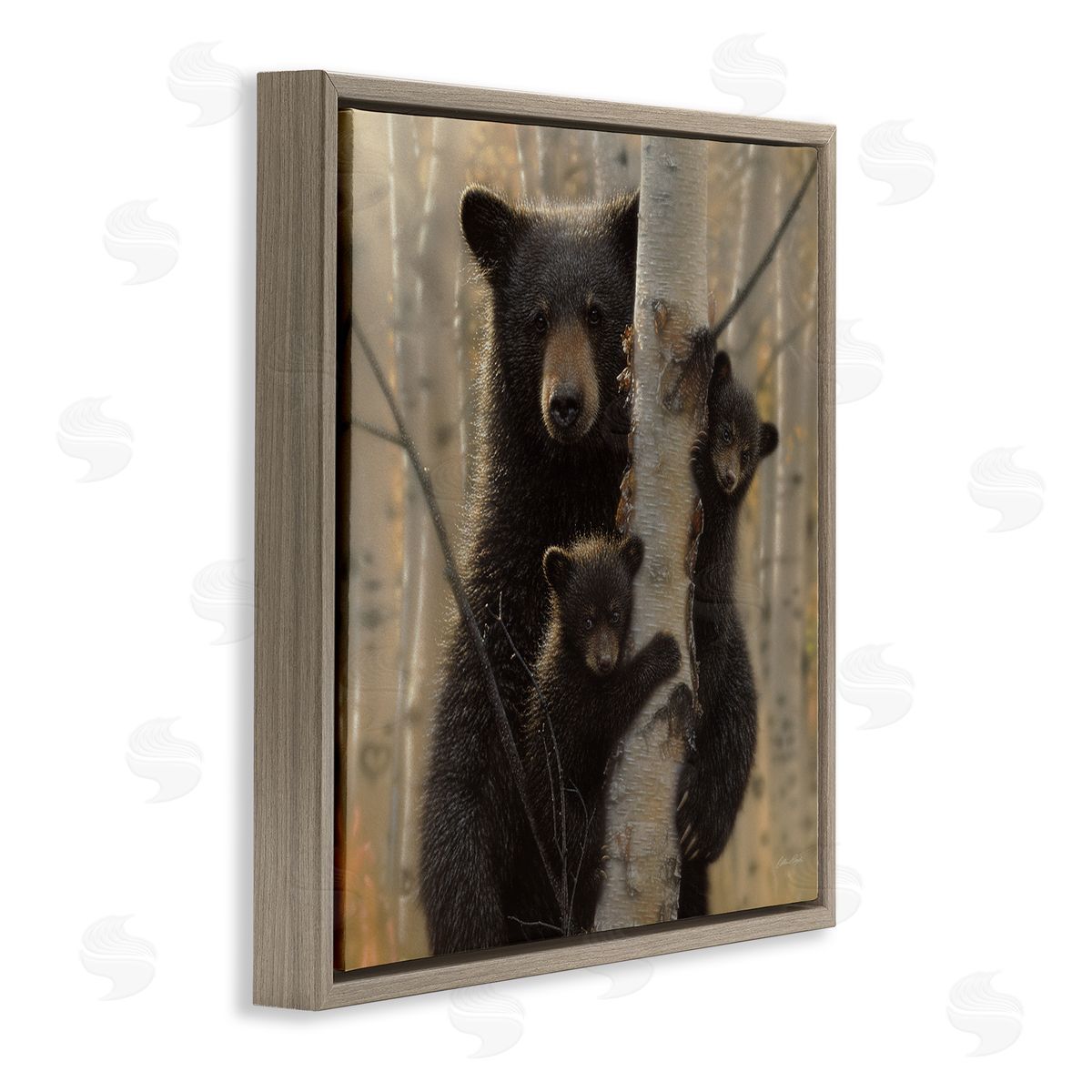 Forest Black Bear and Cubs Brown Floating Frame Canvas Wall Art, Home Decor by Collin Bogle