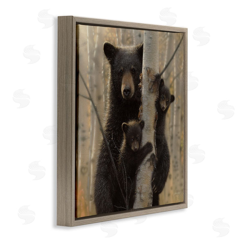 Collin Bogle | Forest Black Bear and Cubs