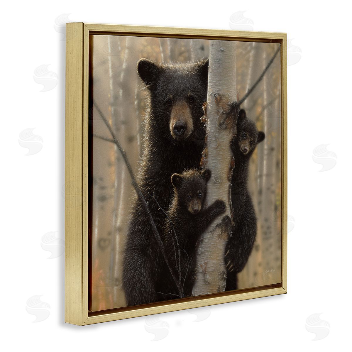 Forest Black Bear and Cubs Gold Floating Frame Canvas Wall Art, Home Decor by Collin Bogle