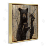 Collin Bogle | Forest Black Bear and Cubs
