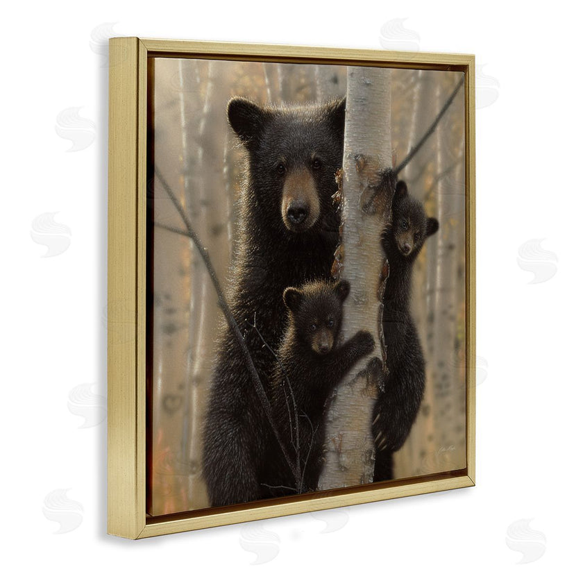 Collin Bogle | Forest Black Bear and Cubs