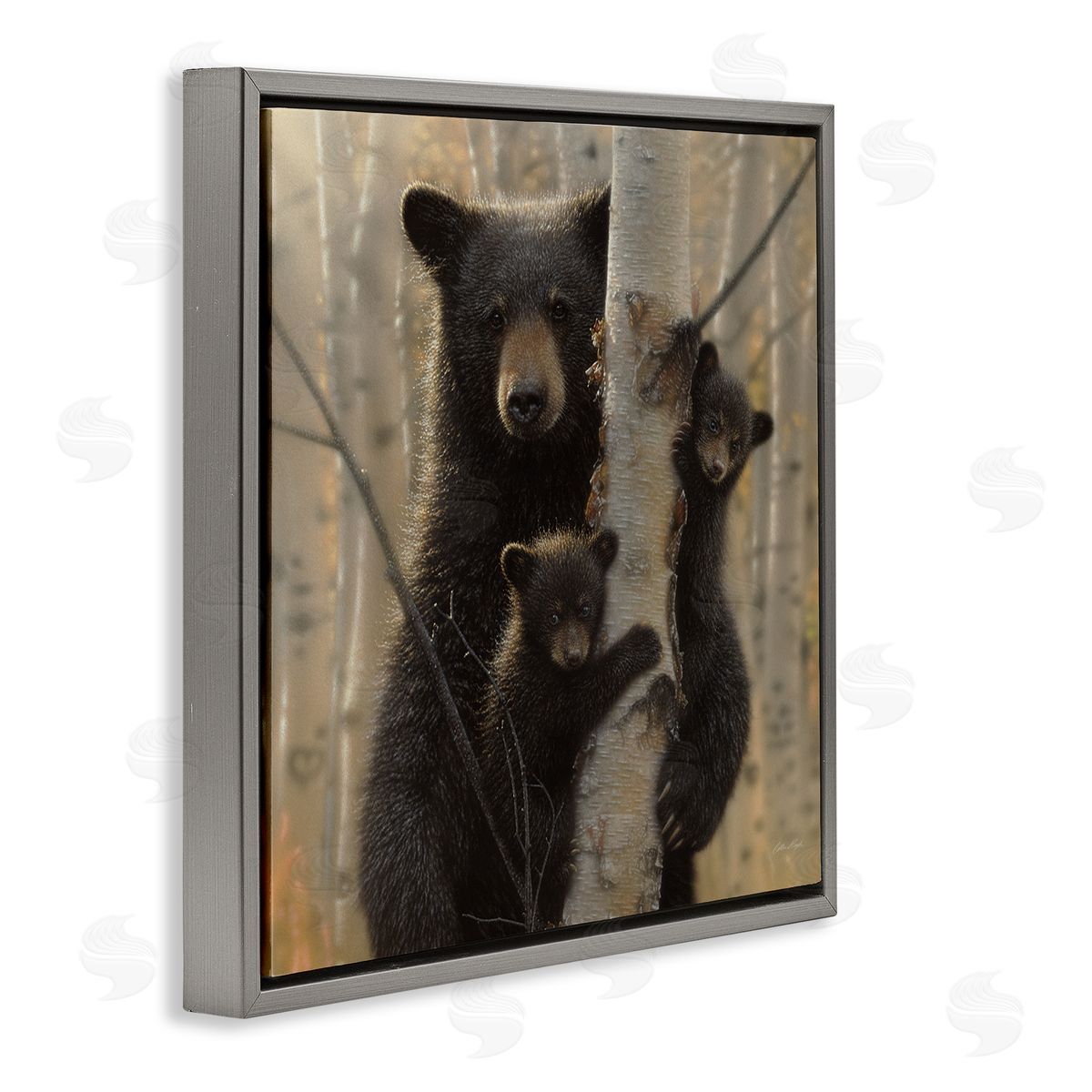 Forest Black Bear and Cubs Grey Floating Frame Canvas Wall Art, Home Decor by Collin Bogle