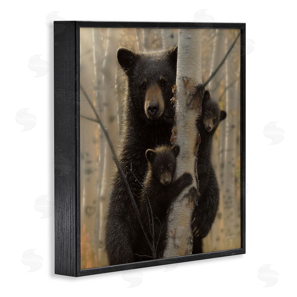 Forest Black Bear and Cubs Black Frame Print Wall Art, Home Decor by Collin Bogle