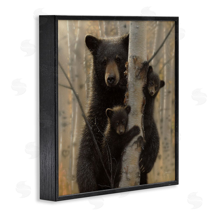 Collin Bogle | Forest Black Bear and Cubs