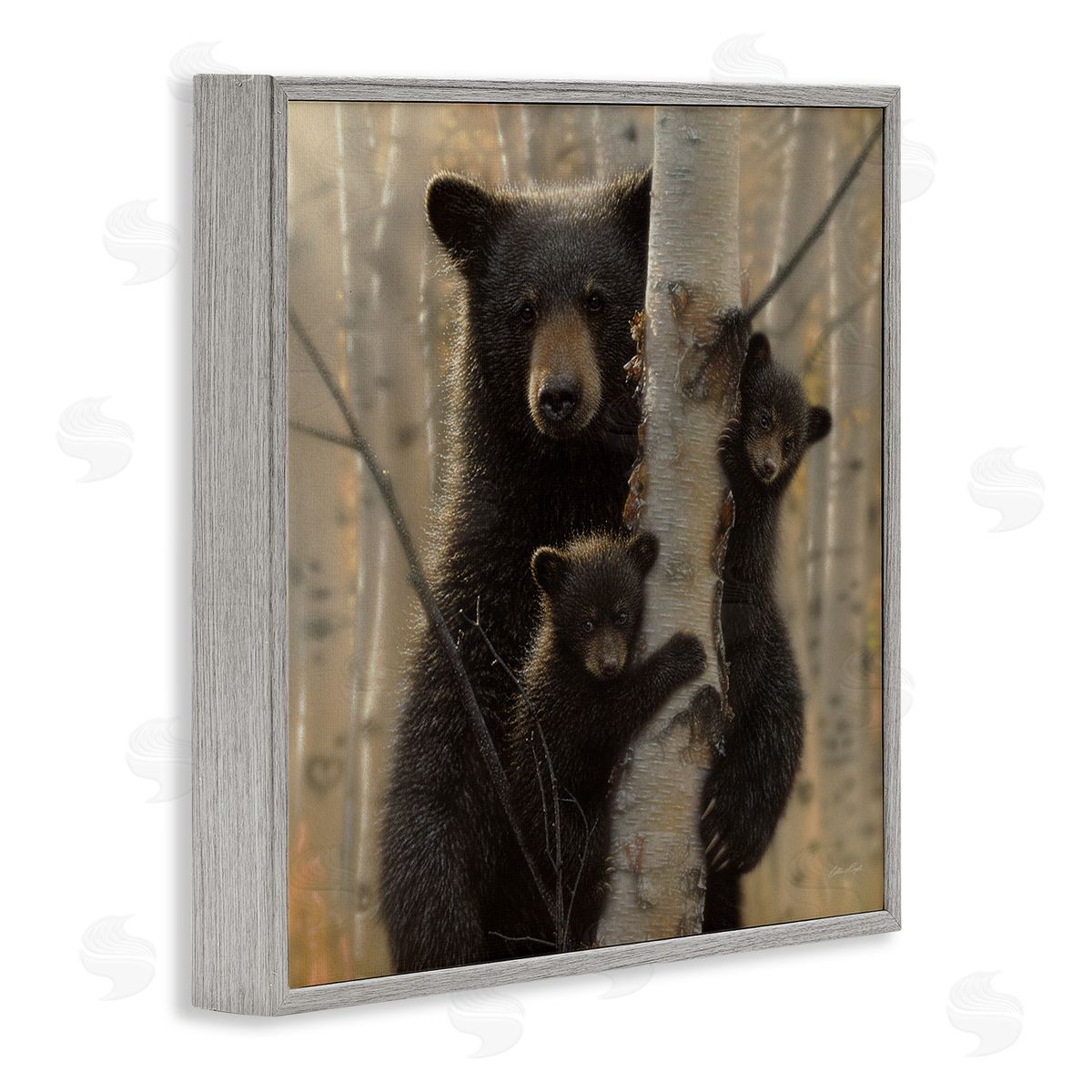 Forest Black Bear and Cubs Grey Frame Print Wall Art, Home Decor by Collin Bogle