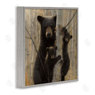 Collin Bogle | Forest Black Bear and Cubs