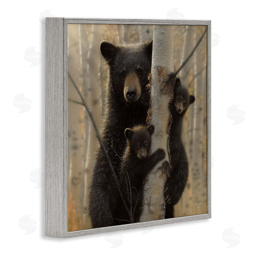 Collin Bogle | Forest Black Bear and Cubs
