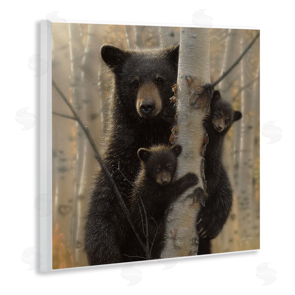 Forest Black Bear and Cubs Wood Plaque Wall Art, Home Decor by Collin Bogle