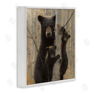 Collin Bogle | Forest Black Bear and Cubs