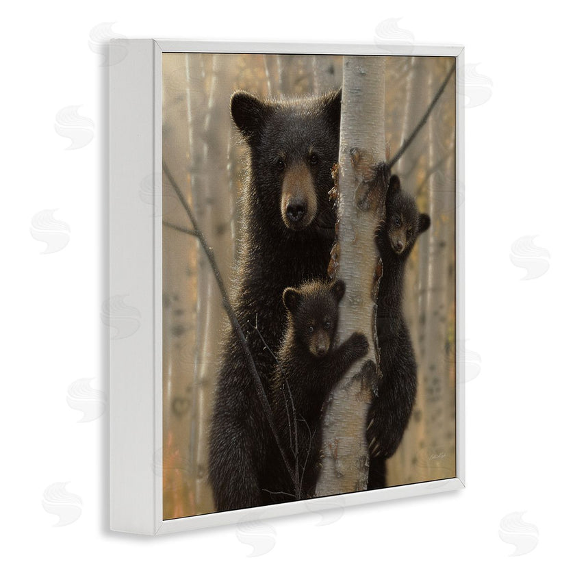 Collin Bogle | Forest Black Bear and Cubs