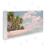 Mike Calascibetta | Clear Water Tropical Beach Coast