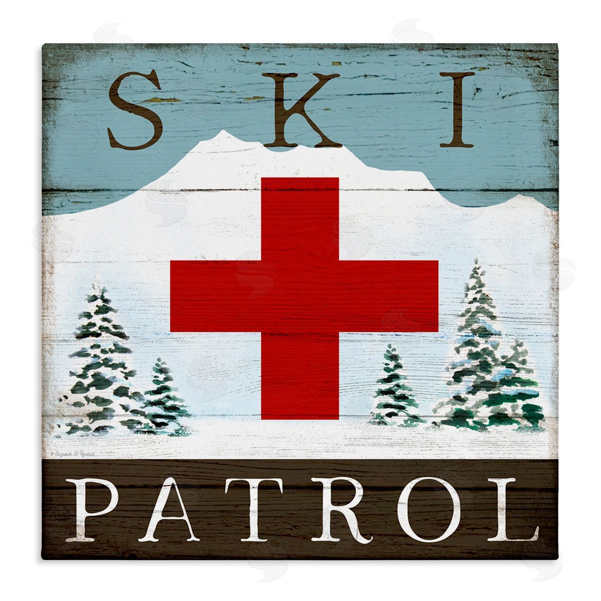 Ski Patrol Rustic Cabin Sign Canvas Wall Art, Home Decor by Elizabeth Tyndall