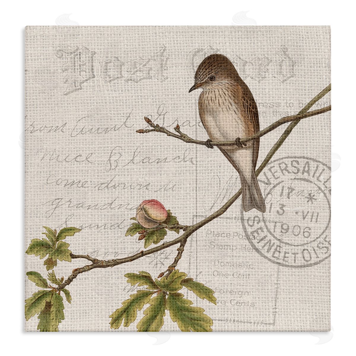 Kim Allen Song Bird Tree Branch Vintage Postal Card Pattern Stretched Canvas Wall Art Print