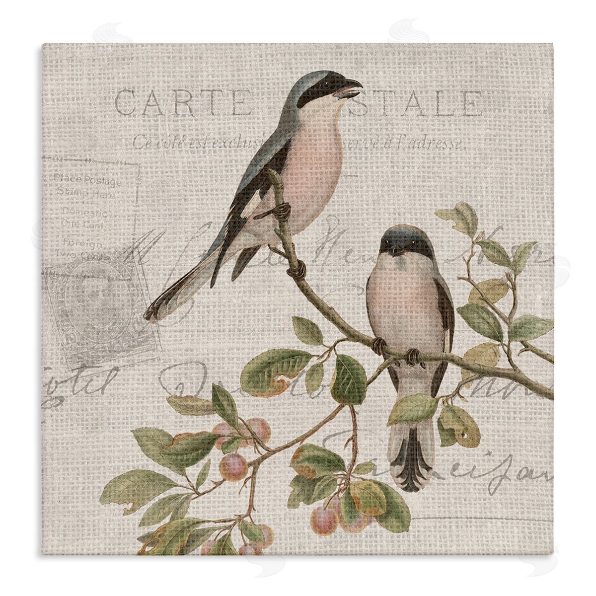 Kim Allen Summer Birds Tree Branch Antique European Postal Pattern Stretched Canvas Wall Art Print