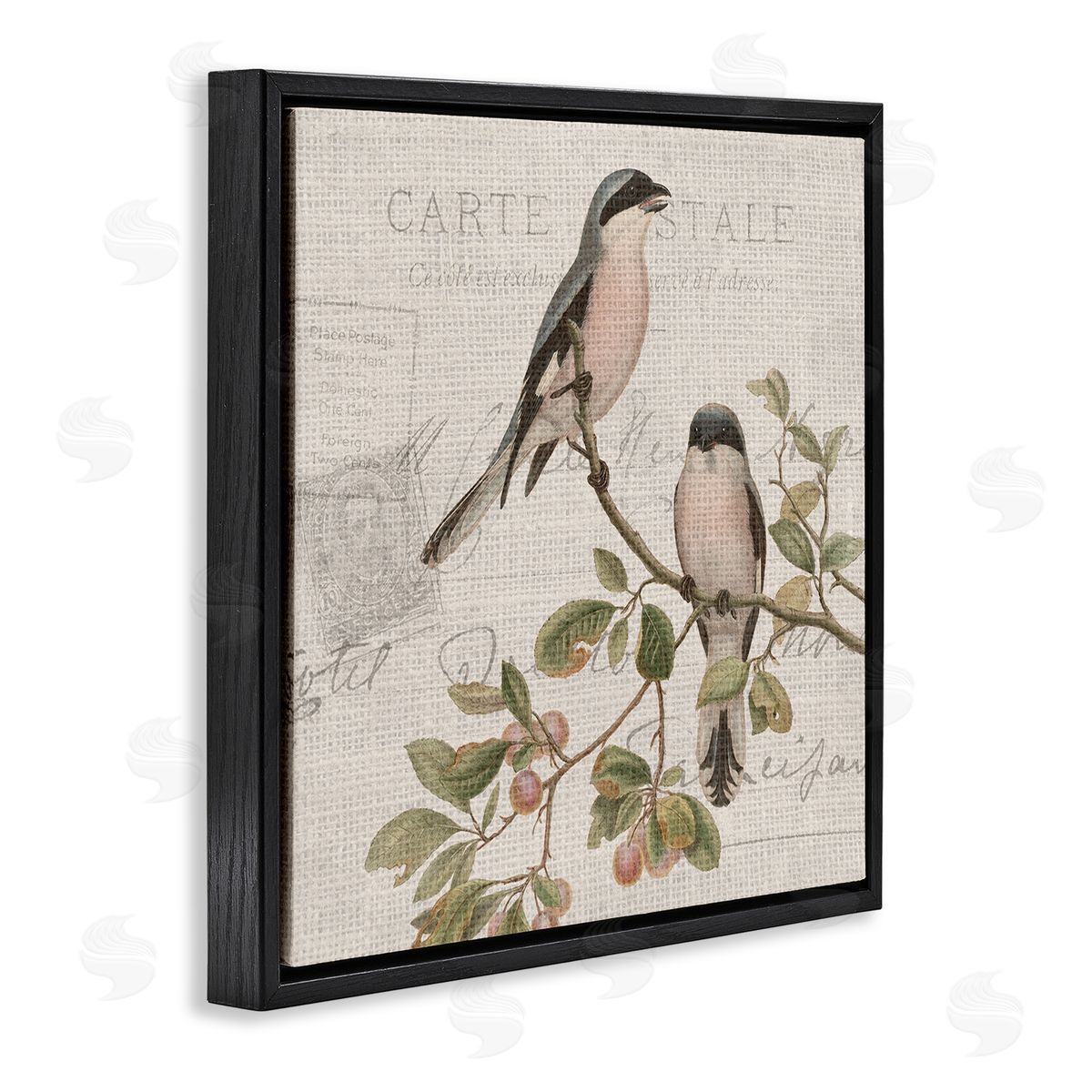 Kim Allen Summer Birds Tree Branch Antique European Postal Pattern Black Floating Frame Canvas Wall Art Print