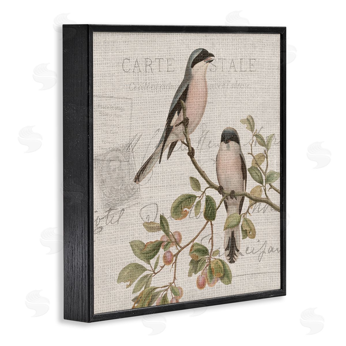 Kim Allen Summer Birds Tree Branch Antique European Postal Pattern Black Framed Glicee Wall Art Print